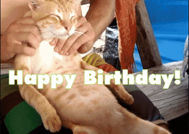 Funny Birthday Wishes For Friend Animated Gif Images GIFs Center